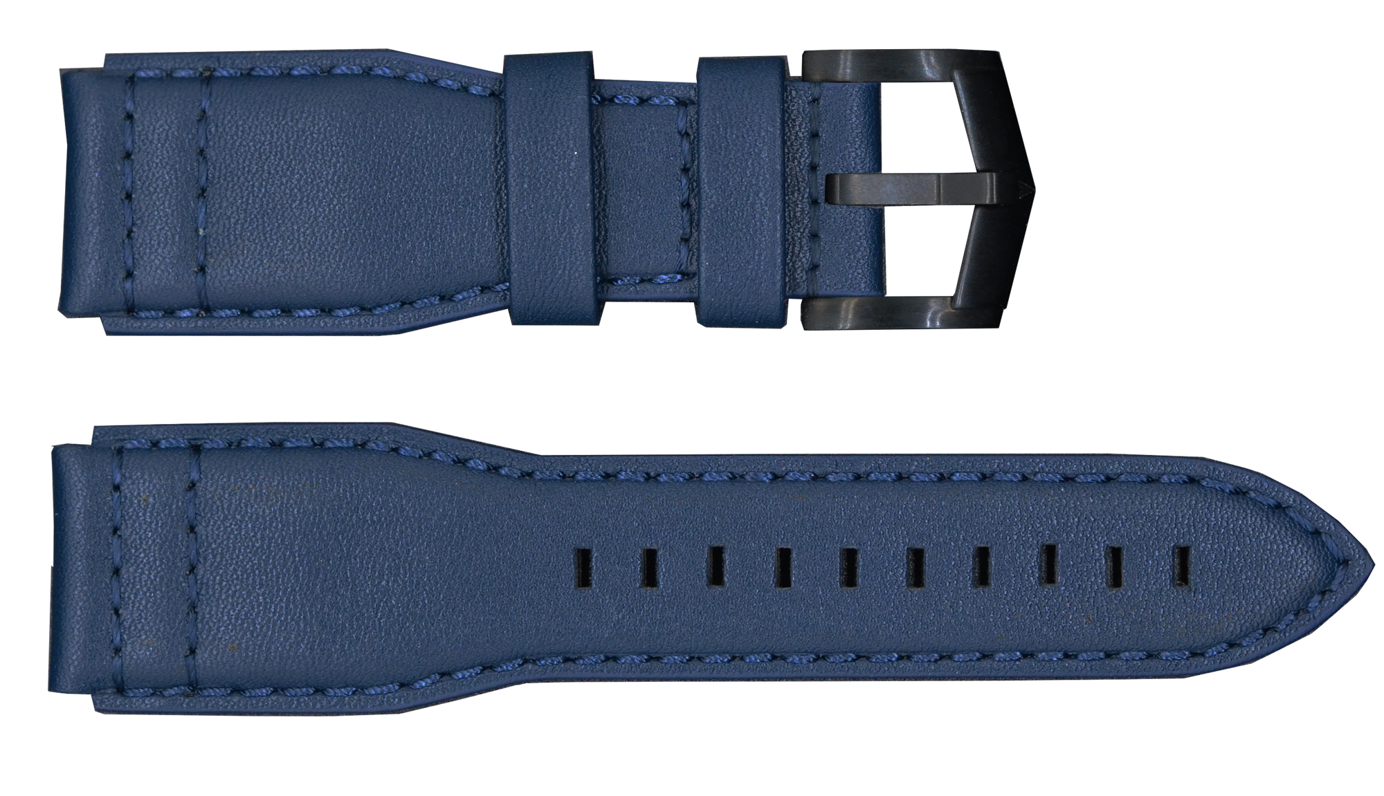 Blue Strap with Black Buckle